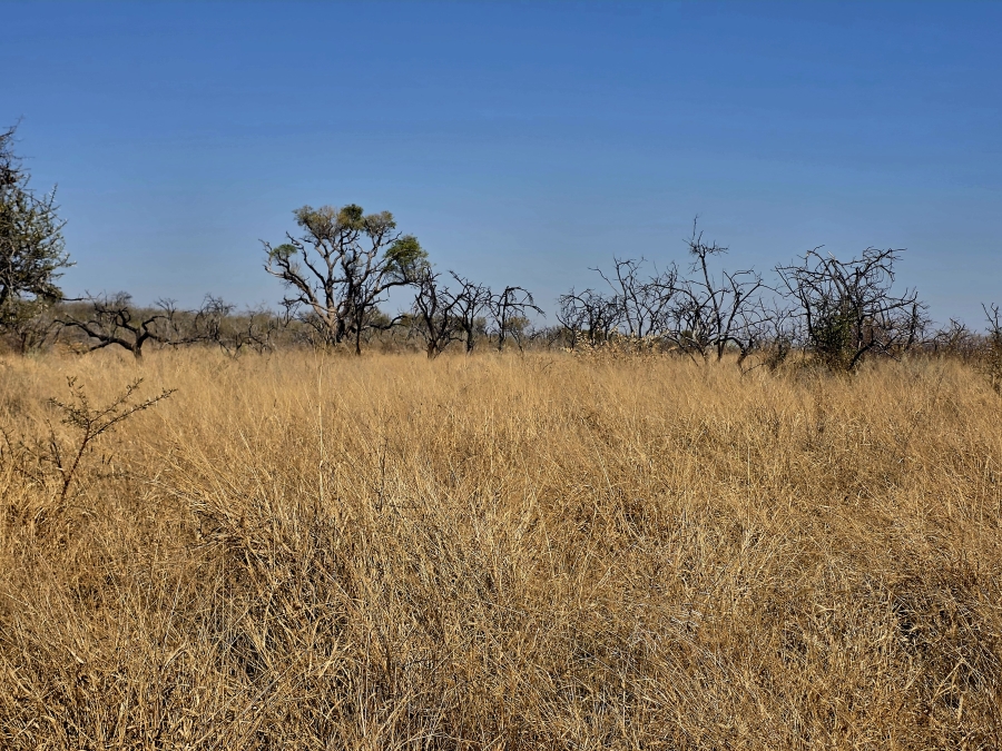 8 Bedroom Property for Sale in Mokopane Rural Limpopo