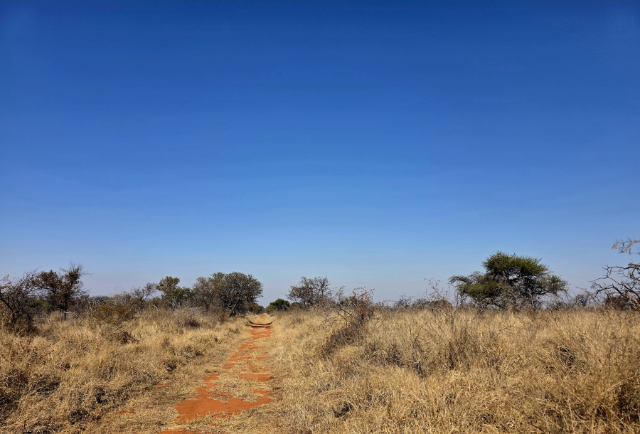 8 Bedroom Property for Sale in Mokopane Rural Limpopo