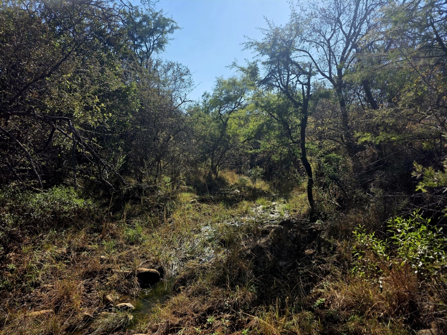 8 Bedroom Property for Sale in Mokopane Rural Limpopo
