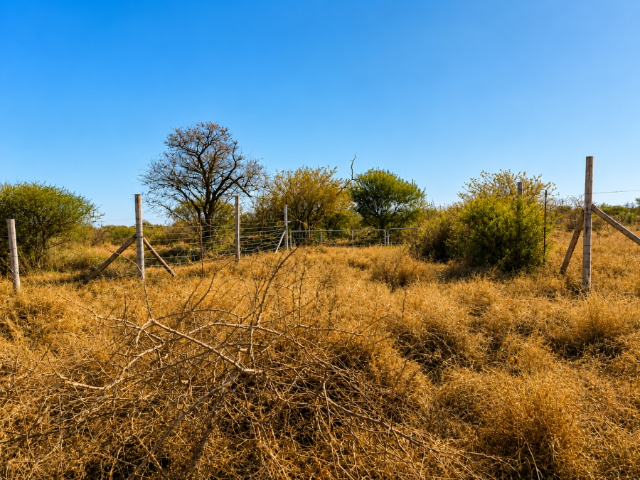 Commercial Property for Sale in Wilderbeestaagte SH Limpopo