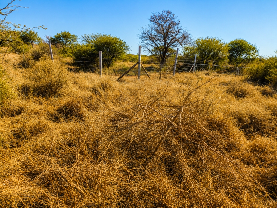 Commercial Property for Sale in Wilderbeestaagte SH Limpopo