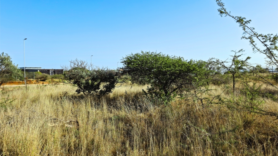 Commercial Property for Sale in Bendor Limpopo