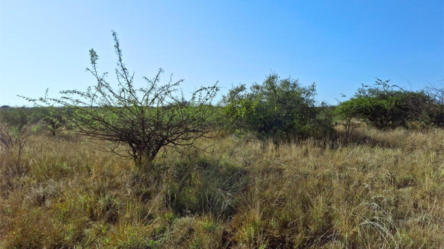 Commercial Property for Sale in Bendor Limpopo