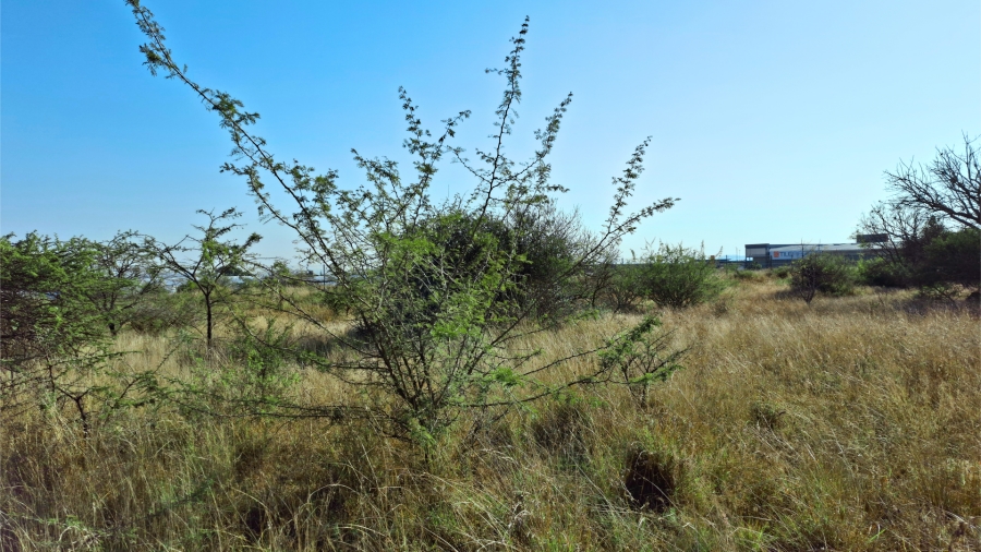Commercial Property for Sale in Bendor Limpopo