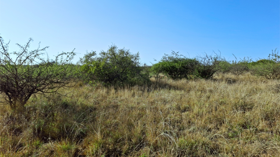Commercial Property for Sale in Bendor Limpopo
