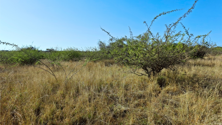 Commercial Property for Sale in Bendor Limpopo