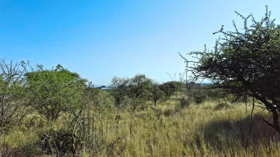 Commercial Property for Sale in Bendor Limpopo