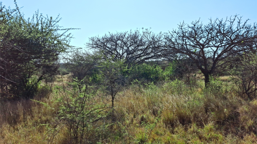 Commercial Property for Sale in Bendor Limpopo
