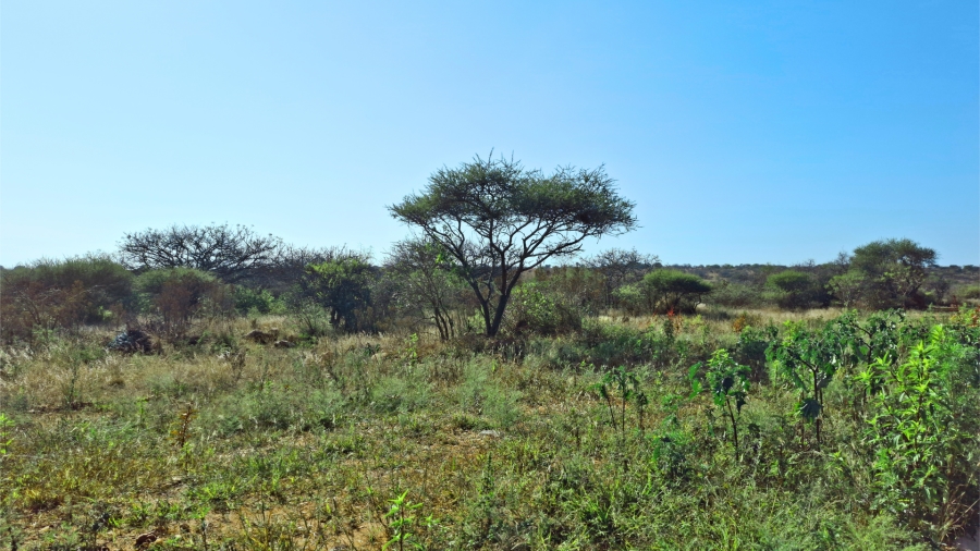 Commercial Property for Sale in Bendor Limpopo