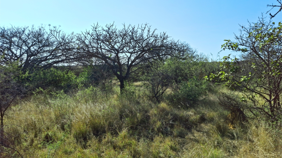 Commercial Property for Sale in Bendor Limpopo
