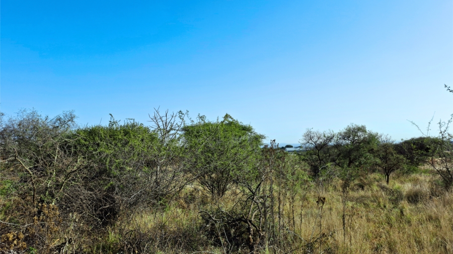 Commercial Property for Sale in Bendor Limpopo