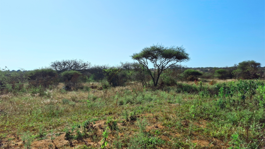 Commercial Property for Sale in Bendor Limpopo