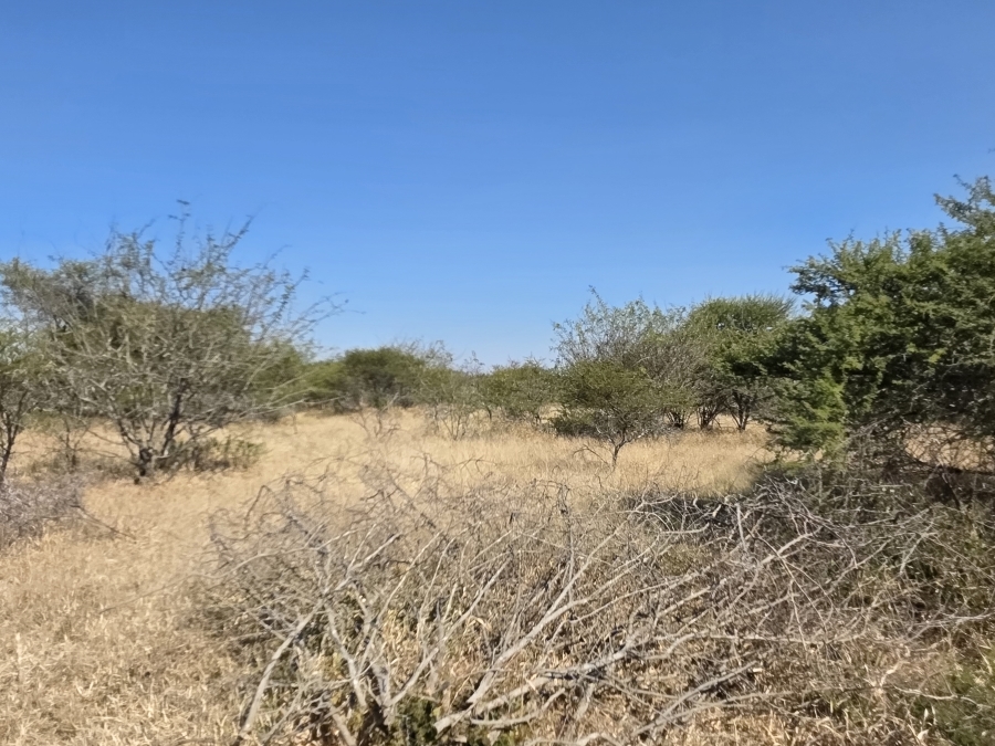 5 Bedroom Property for Sale in Dendron Limpopo