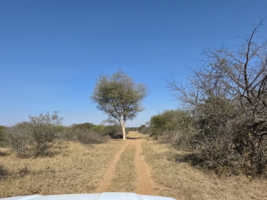 5 Bedroom Property for Sale in Dendron Limpopo