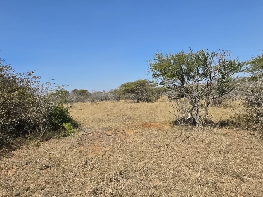 5 Bedroom Property for Sale in Dendron Limpopo