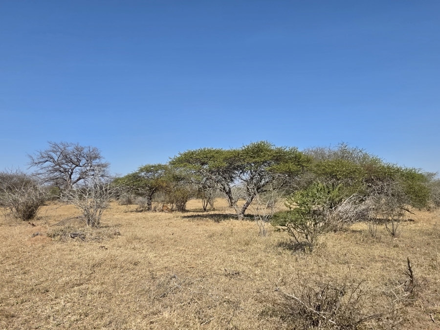 5 Bedroom Property for Sale in Dendron Limpopo