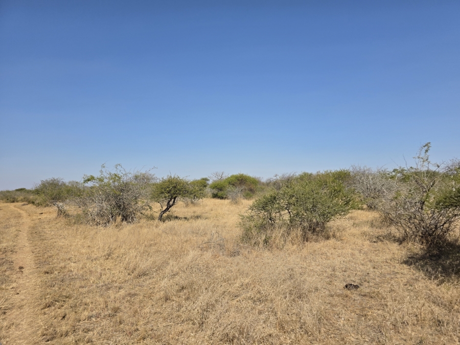5 Bedroom Property for Sale in Dendron Limpopo