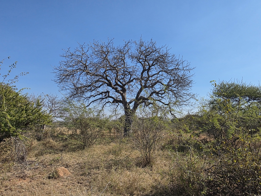 5 Bedroom Property for Sale in Dendron Limpopo