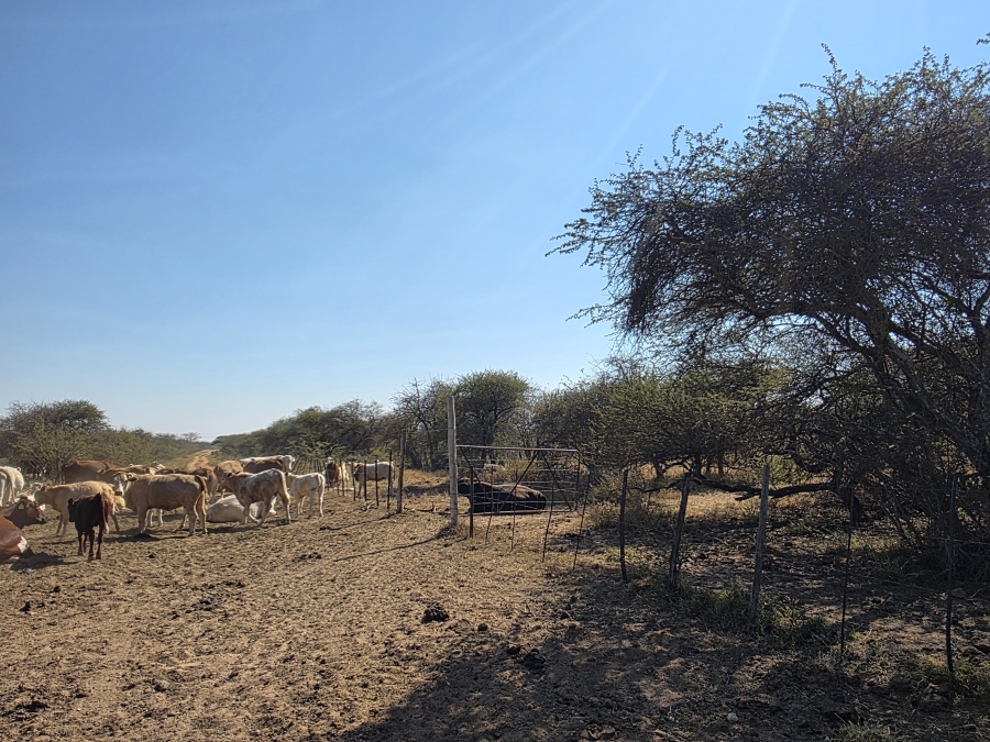 5 Bedroom Property for Sale in Dendron Limpopo