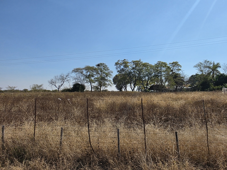 5 Bedroom Property for Sale in Dendron Limpopo