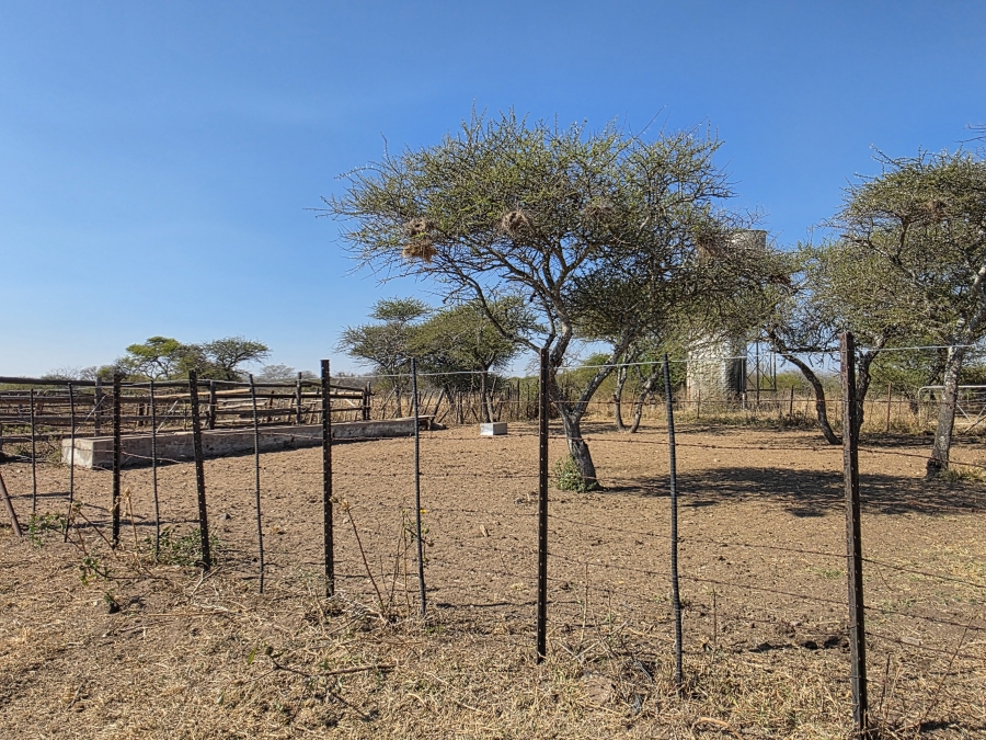 5 Bedroom Property for Sale in Dendron Limpopo