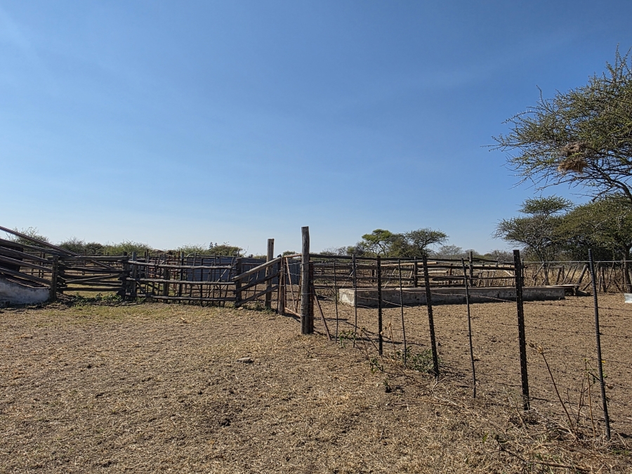5 Bedroom Property for Sale in Dendron Limpopo