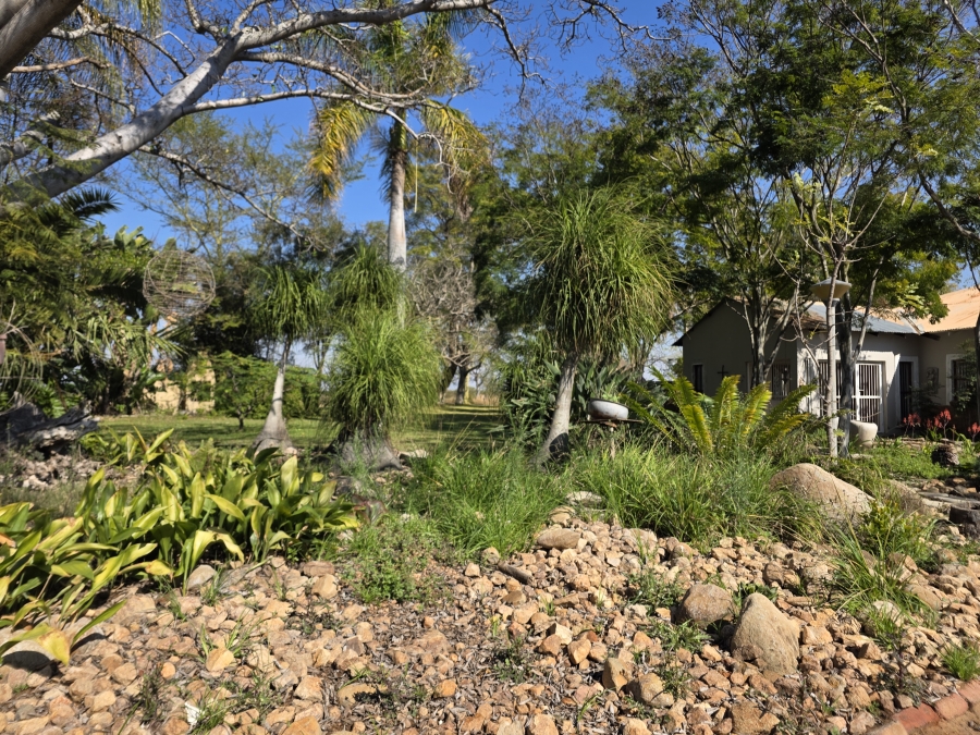 5 Bedroom Property for Sale in Dendron Limpopo