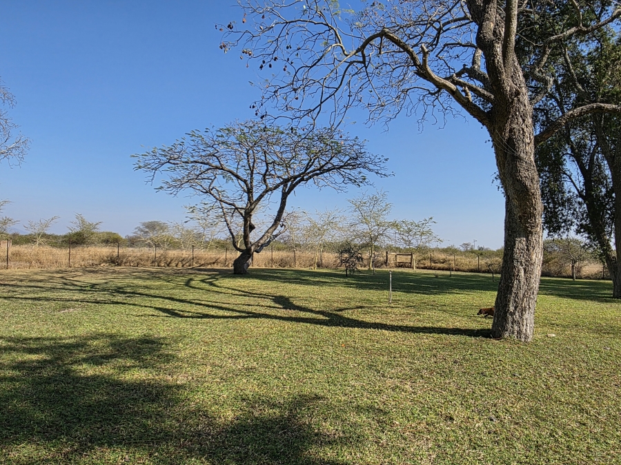 5 Bedroom Property for Sale in Dendron Limpopo