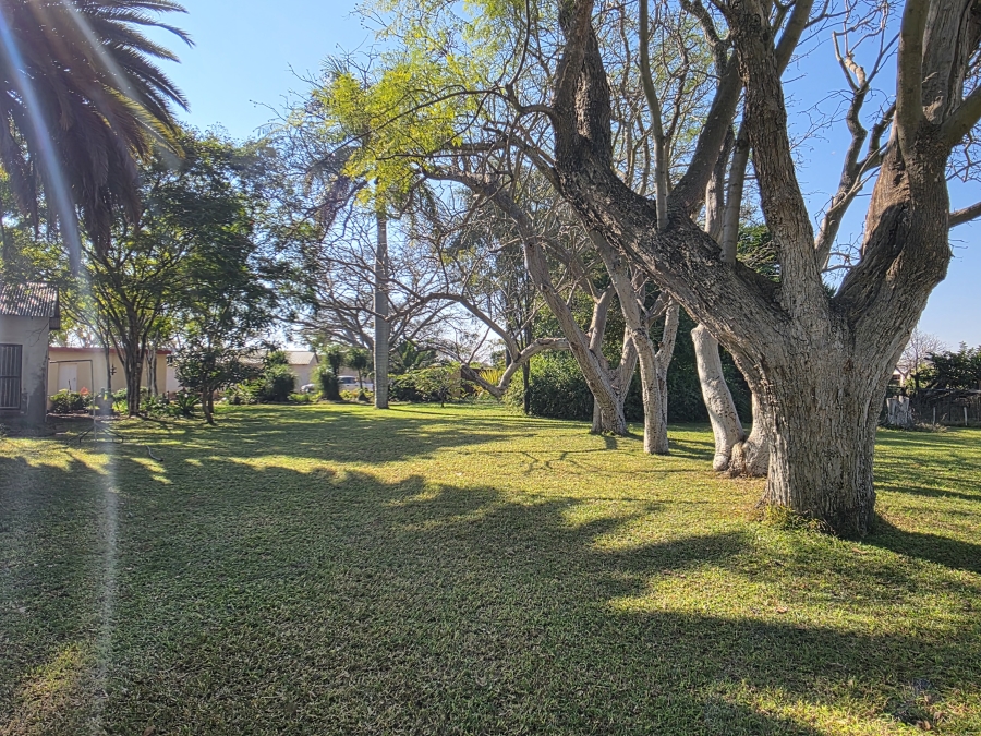 5 Bedroom Property for Sale in Dendron Limpopo