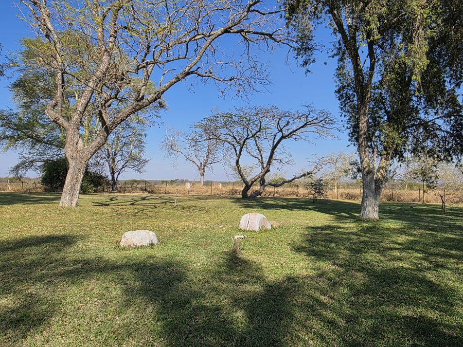 5 Bedroom Property for Sale in Dendron Limpopo