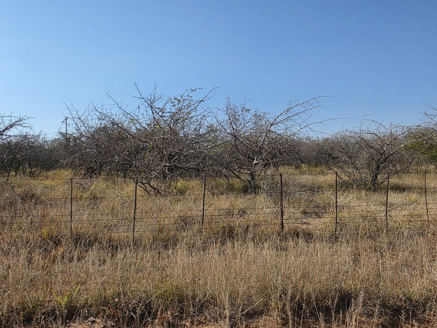 5 Bedroom Property for Sale in Dendron Limpopo