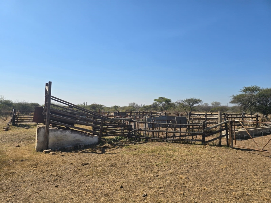 5 Bedroom Property for Sale in Dendron Limpopo