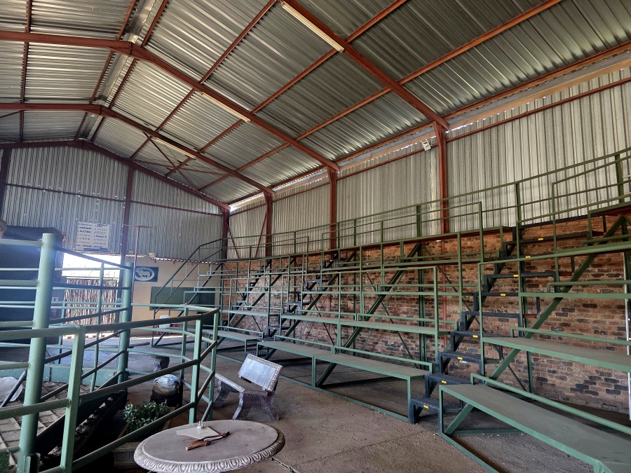 3 Bedroom Property for Sale in Grootvlei Limpopo