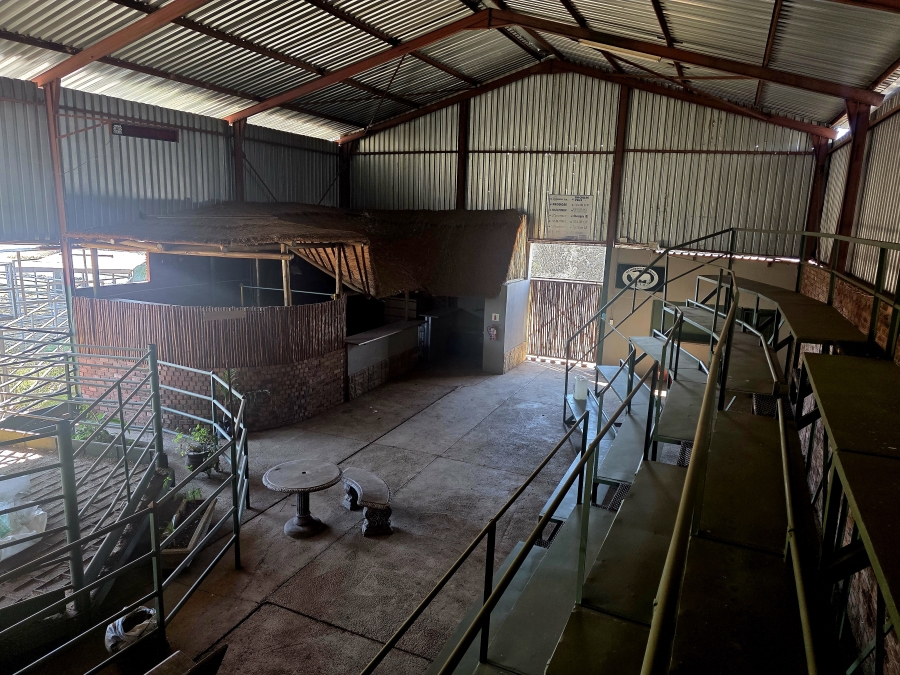 3 Bedroom Property for Sale in Grootvlei Limpopo