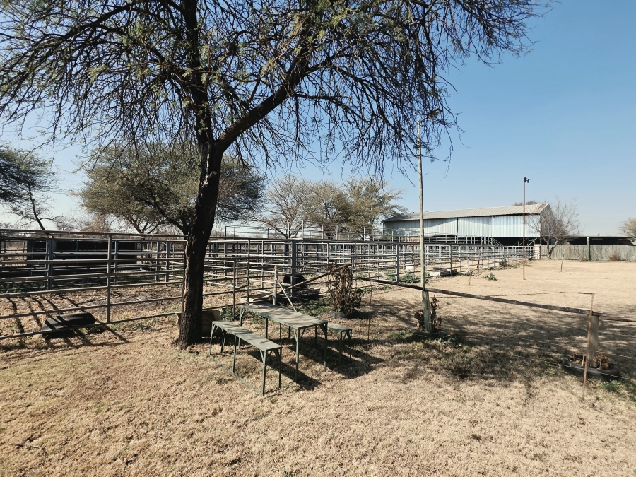 3 Bedroom Property for Sale in Grootvlei Limpopo