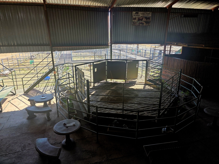 3 Bedroom Property for Sale in Grootvlei Limpopo