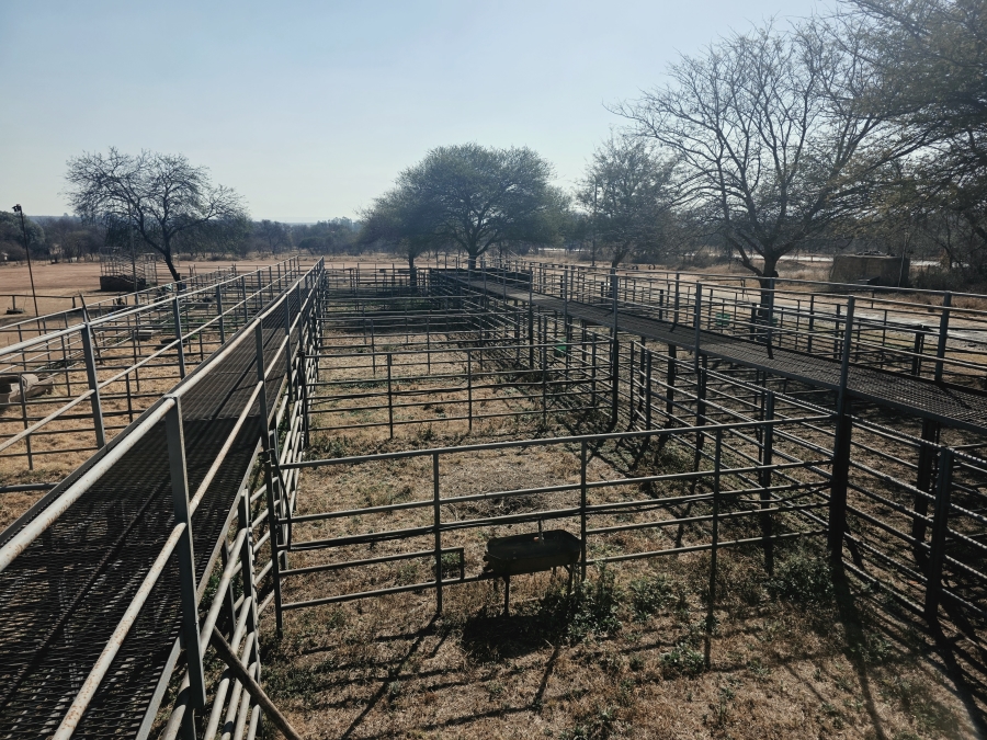 3 Bedroom Property for Sale in Grootvlei Limpopo
