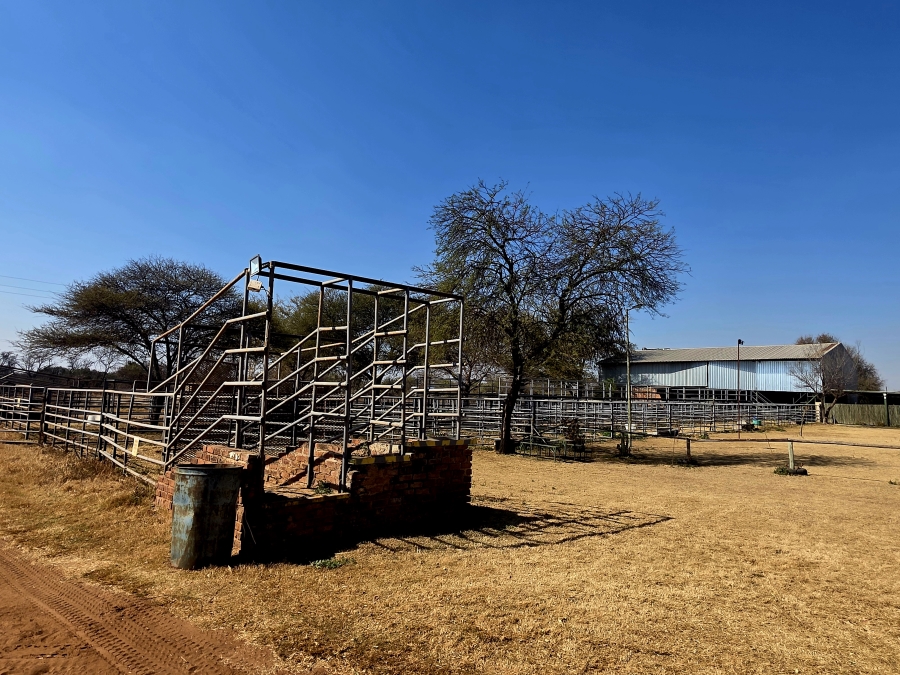 3 Bedroom Property for Sale in Grootvlei Limpopo
