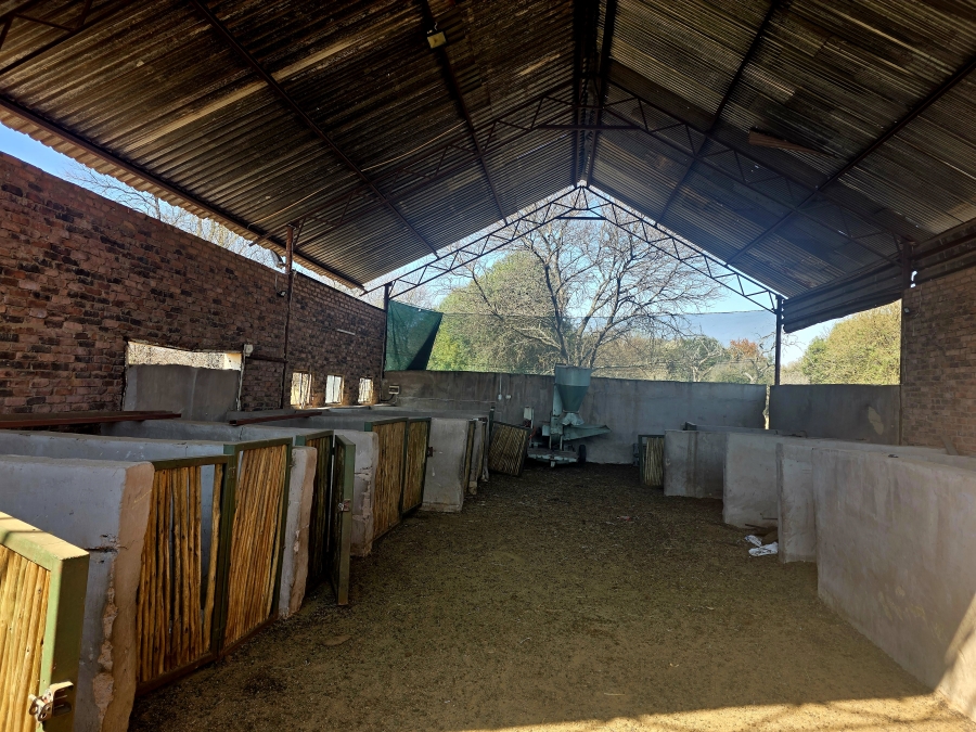 3 Bedroom Property for Sale in Grootvlei Limpopo