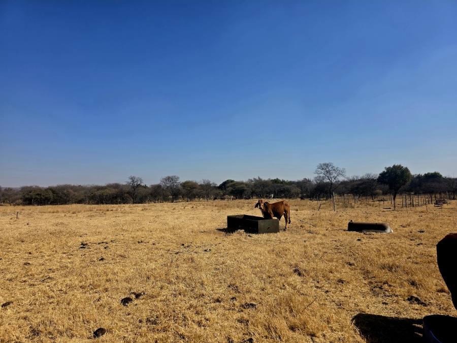3 Bedroom Property for Sale in Grootvlei Limpopo