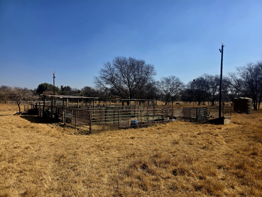 3 Bedroom Property for Sale in Grootvlei Limpopo