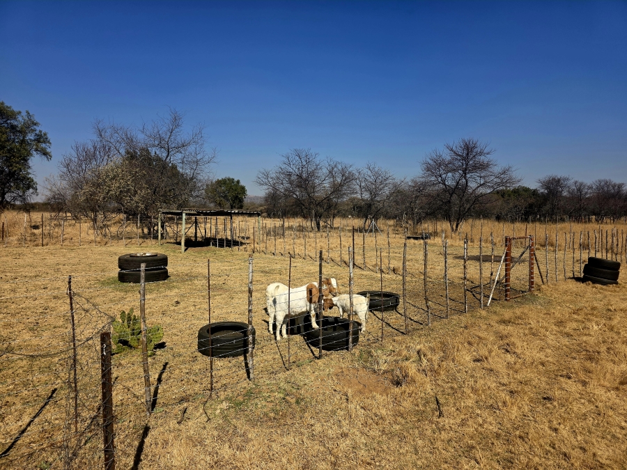 3 Bedroom Property for Sale in Grootvlei Limpopo