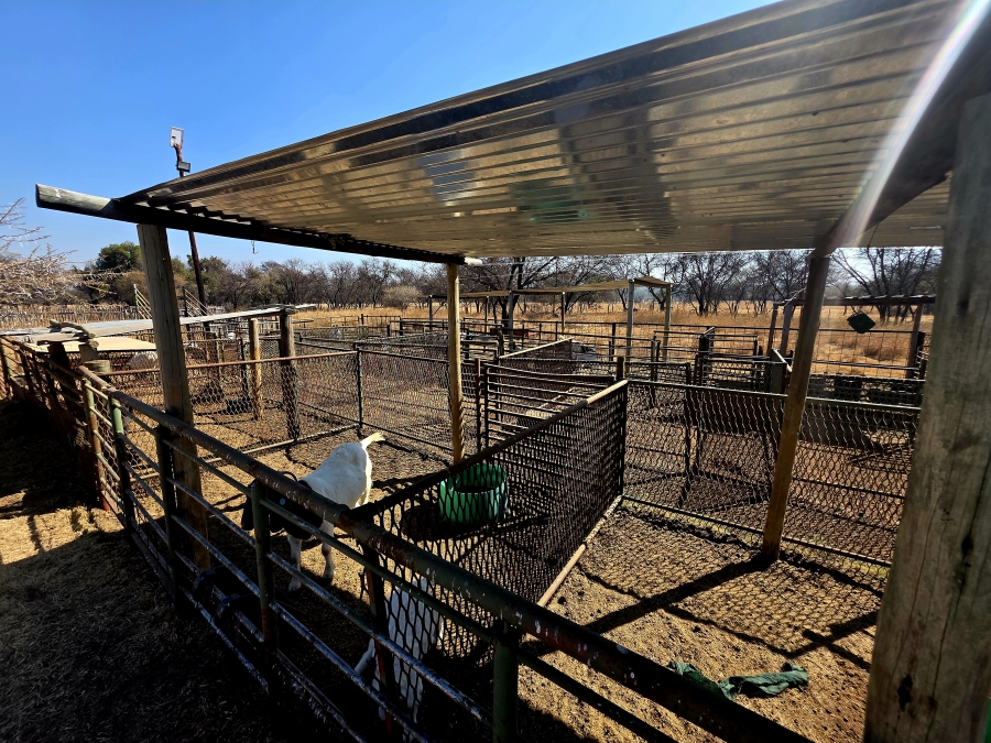 3 Bedroom Property for Sale in Grootvlei Limpopo