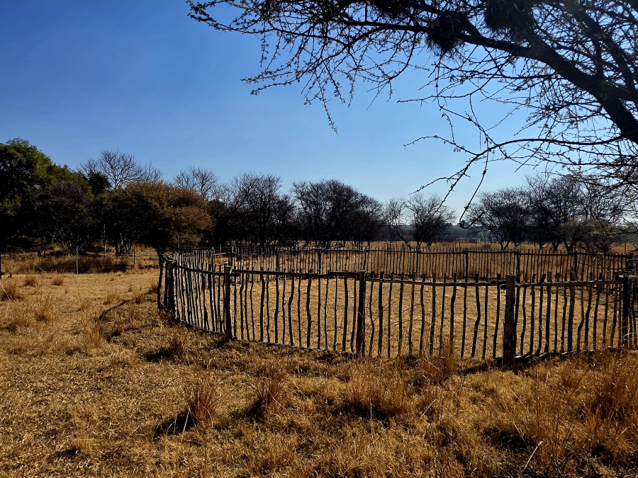 3 Bedroom Property for Sale in Grootvlei Limpopo