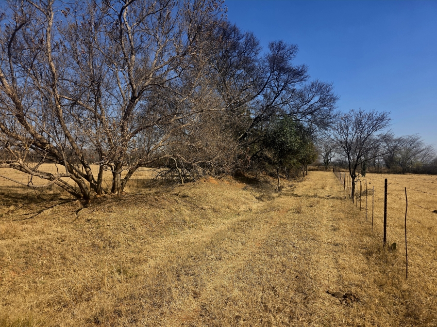 3 Bedroom Property for Sale in Grootvlei Limpopo