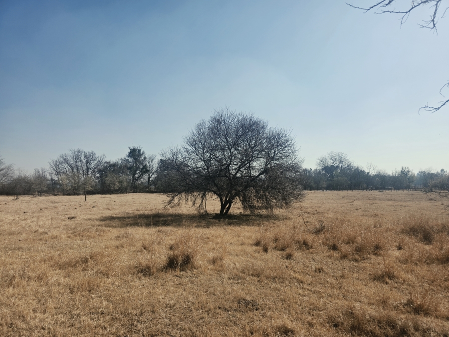 3 Bedroom Property for Sale in Grootvlei Limpopo