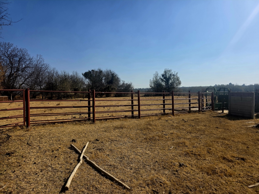3 Bedroom Property for Sale in Grootvlei Limpopo