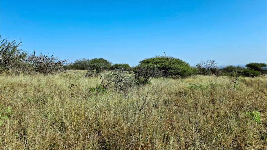 Commercial Property for Sale in Bendor Limpopo