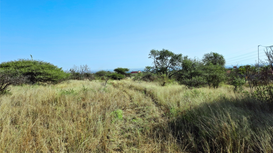 Commercial Property for Sale in Bendor Limpopo