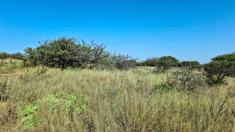 Commercial Property for Sale in Bendor Limpopo